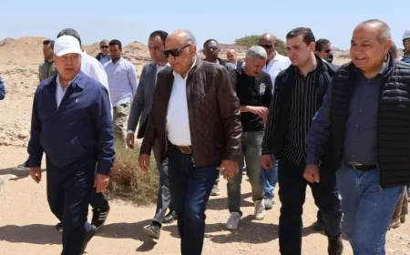 بدء خطوات تنفيذ مشروعات طاقة الرياح بجبل الجلالة لتعظيم الاستفادة من الموارد الطبيعية في السويس