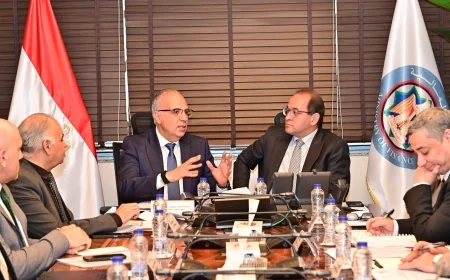 وزير المالية ووزير الموارد المائية والري يبحثان تمويل مشروعات الري الحديث في مصر لتعزيز ترشيد المياه
