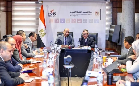 وزيرا التخطيط والعمل يبحثان تطوير سوق العمل في مصر ورفع كفاءته لمواكبة متطلبات المستقبل