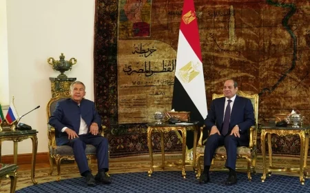 تعزيز التعاون الاقتصادي المصري الروسي: السيسي ومينيخانوف يبحثان الاستثمار والصناعة والزراعة