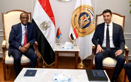 وزير الصناعة يبحث مع إريتريا تعزيز التعاون الصناعي والاستثماري وتشكيل مجلس أعمال مشترك