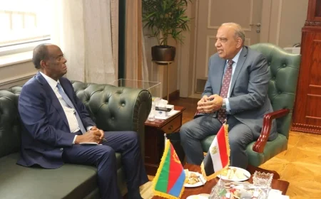 وزير الكهرباء يبحث مع وفد إريتري تعزيز التعاون في الطاقة المتجددة ودعم مشروعات الكهرباء