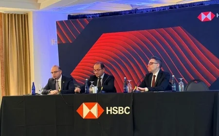وزير الاستثمار يبحث مع HSBC وبنك التسويات الدولية تعزيز الاستثمار والرقمنة واستقرار الاقتصاد المصري