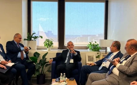 بينها طرح "مصر لتأمينات الحياة".. وزير الاستثمار يكشف لصندوق النقد استراتيجية الطروحات الجديدة