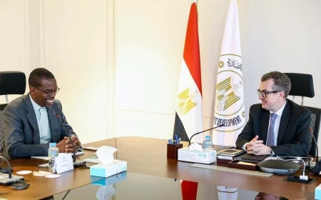 مصر والبنك الإفريقي للتنمية تبحثان تعزيز التعاون وتمويلات مبتكرة لدعم التنمية الاقتصادية