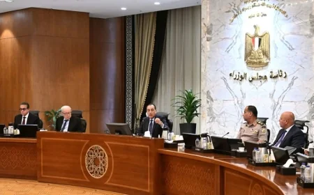 الحكومة تُقر قواعد حوكمة اختيار ممثلي الدولة في الشركات: معايير صارمة وتقييم سنوي لضمان الكفاءة