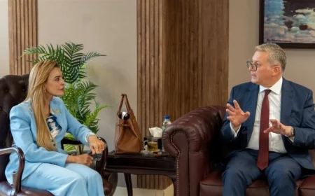 المهندس كريم بدوي يناقش مع النائبة مروة بوريص خطط تعزيز الإنتاج وأمن الطاقة في مصر