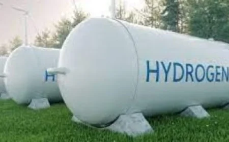 باستثمارات 5 مليارات دولار.. "إيجيبت آمون" تطلق أضخم مشروع للأمونيا الخضراء برأس بناس