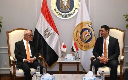 مصر واليابان تبحثان توسيع الاستثمارات الصناعية في السيارات والأدوية والإلكترونيات