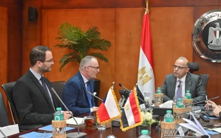 مصر والتشيك تبحثان توطين التكنولوجيا وتعزيز الاستثمارات النوعية والتعاون الصناعي