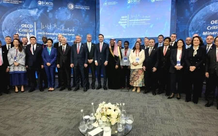 وزير البترول يستعرض رؤية مصر لتعظيم قطاع التعدين في منتدى إسطنبول