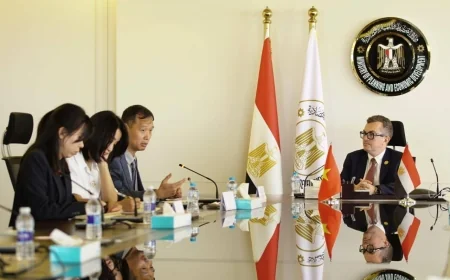 مصر وفيتنام تبحثان تعزيز الشراكة التنموية وتوسيع التعاون الاقتصادي بين البلدين