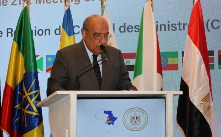 وزير الكهرباء: التكامل الإقليمي ضرورة استراتيجية لتعزيز أمن الطاقة ودعم سوق الكهرباء في شرق أفريقيا