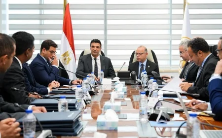 وزيرا الاستثمار والصناعة يبحثان مع “Air Liquide” الفرنسية توسيع الاستثمارات في مصر وتعزيز الصناعات الاستراتيجية