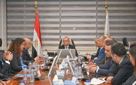 استثمارات صينية جديدة في مصر.. مشاورات لإنشاء مجمع صناعي متكامل لإطارات السيارات