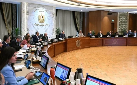 انخفاض البطالة في مصر إلى 6.3% خلال 2025 وتحسن ملحوظ في مؤشرات سوق العمل