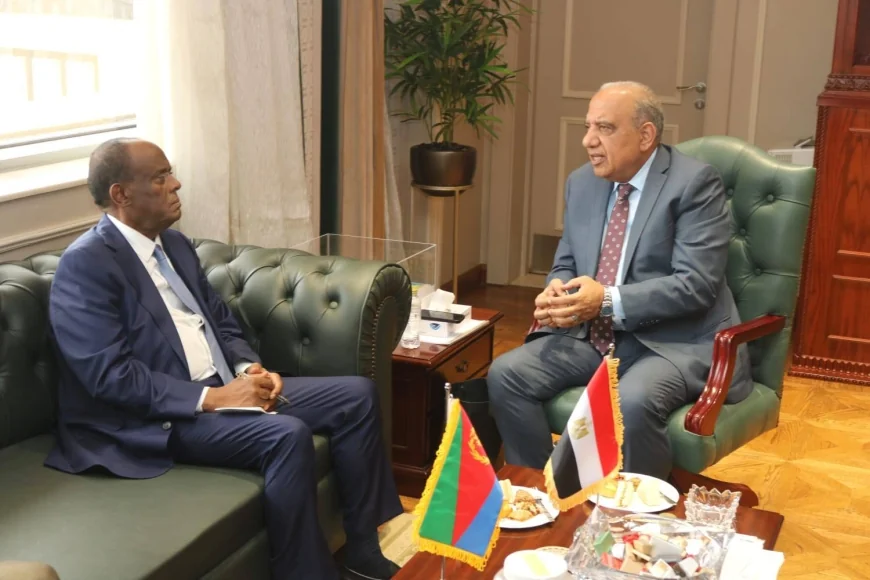 وزير الكهرباء يبحث مع وفد إريتري تعزيز التعاون في الطاقة المتجددة ودعم مشروعات الكهرباء