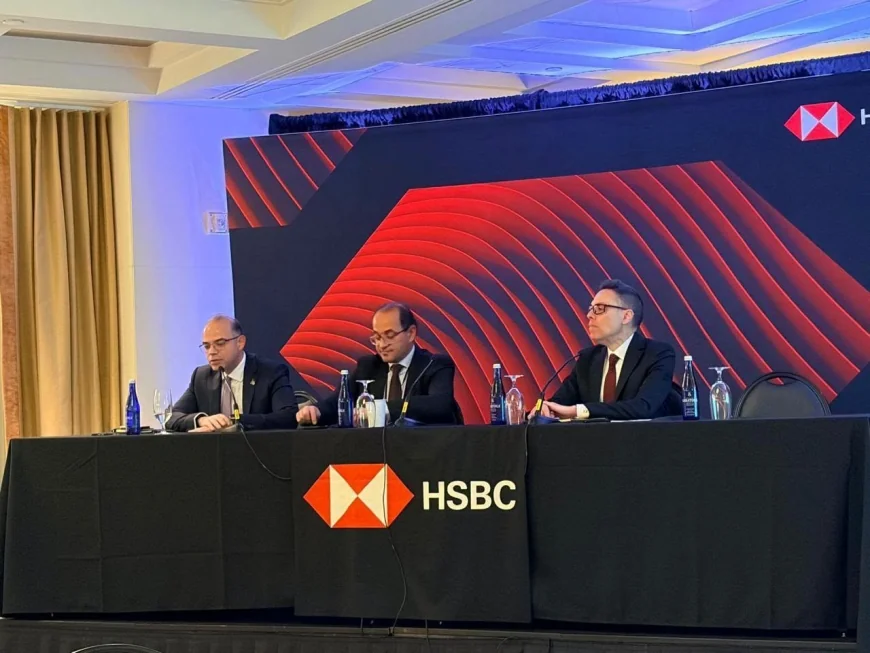 وزير الاستثمار يبحث مع HSBC وبنك التسويات الدولية تعزيز الاستثمار والرقمنة واستقرار الاقتصاد المصري