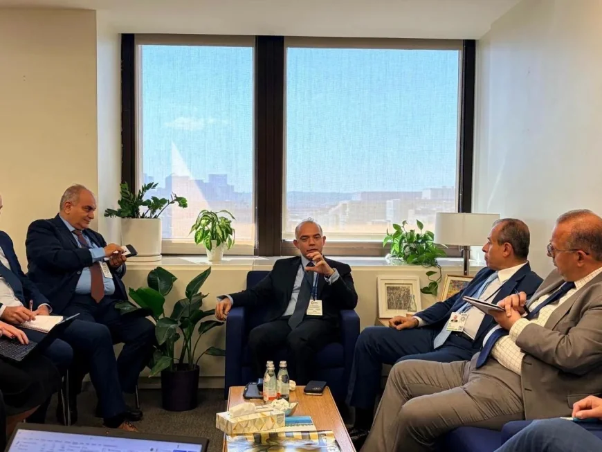 بينها طرح "مصر لتأمينات الحياة".. وزير الاستثمار يكشف لصندوق النقد استراتيجية الطروحات الجديدة