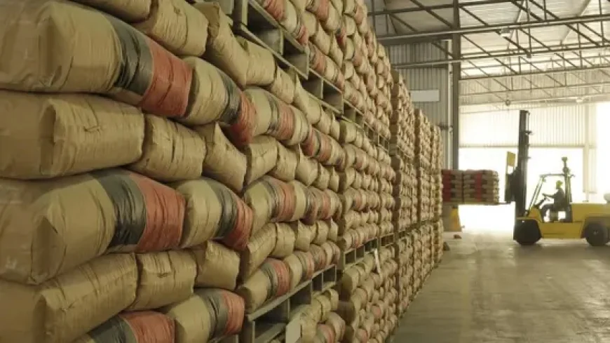 استقرار أسعار الأسمنت في مصر عند 4200 جنيه للطن مع هدوء نسبي في سوق مواد البناء