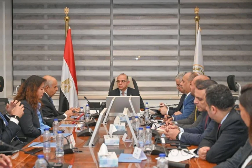 استثمارات صينية جديدة في مصر.. مشاورات لإنشاء مجمع صناعي متكامل لإطارات السيارات