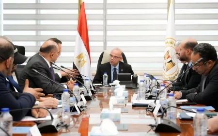 وزارة الاستثمار تبحث مع شركة MRYK Holding الصينية توسيع الاستثمارات في مصر