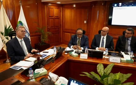 وزير البترول يوجه بتسريع الحفر والاستكشاف في حقول خالدة بالصحراء الغربية واستثمار الإمكانات الكاملة للنفط والغاز