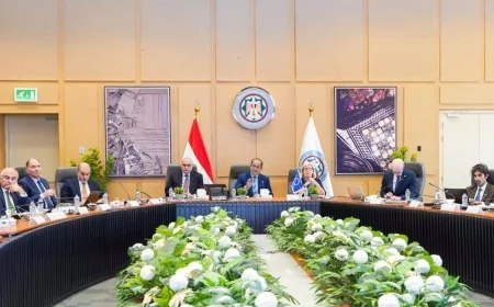 وزير المالية: الاتحاد الأوروبي شريك أساسي.. والمسار الاقتصادي لمصر «مطمئن» رغم حالة عدم اليقين العالمية