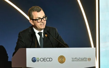 وزير التخطيط: 35 مشروعًا و10 تقارير جديدة مع منظمة التعاون الاقتصادي والتنمية OECD لدعم الإصلاح الاقتصادي
