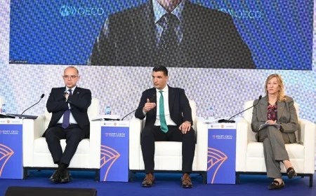 وزارة الصناعة: التحول نحو التصنيع الذكي والأخضر يعزز تنافسية الاقتصاد المصري