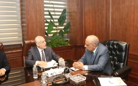 وزير الكهرباء يبحث مع «AMEA POWER» تسريع تنفيذ مشروعات طاقة شمسية ورياح وبطاريات تخزين بـ1500 ميجاوات