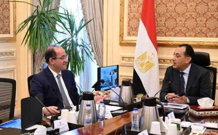 الحكومة تبدأ إجراءات التحول للسيارات الكهربائية.. ومدبولي يوجه بالتعاقد على أول دفعة للمسؤولين