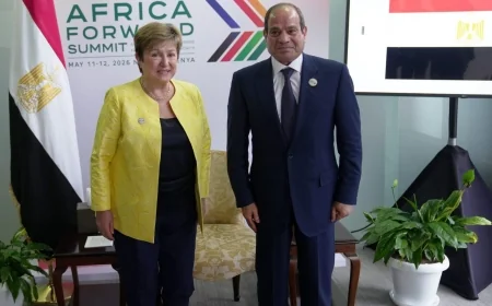 الرئيس السيسي يجدد التزام مصر بالإصلاح الاقتصادي خلال لقائه مدير صندوق النقد الدولي