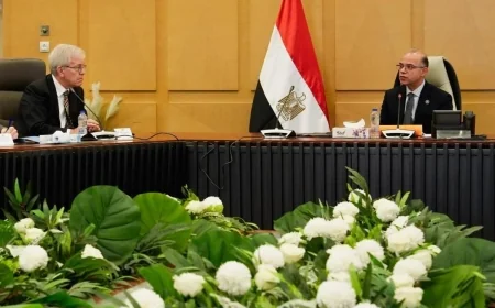 وزير الاستثمار يبحث تعزيز الشراكة الاقتصادية بين مصر والولايات المتحدة مع وفد أمريكي