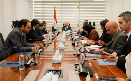 وزير الاستثمار يبحث مع أفريكسيم بنك تعزيز التبادل التجاري المصري الأفريقي