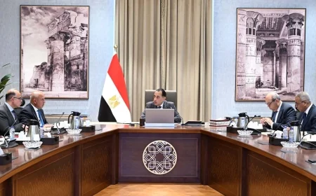 رئيس الوزراء يستعرض جهود تعزيز الربط والتبادل التجاري واللوجيستي مع الدول الإفريقية