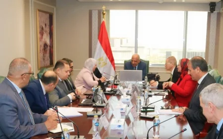 وزير الكهرباء يبحث مع البنك الدولي دعم الشبكة الموحدة وتسريع مشروعات الطاقة المتجددة لتحقيق 45% من مزيج الطاقة