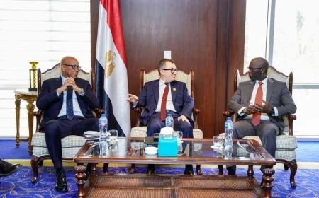 وزير التخطيط يبحث مع مؤسسة التمويل الدولية تفعيل آلية ضمان مشروعات البنية التحتية في مصر وأفريقيا