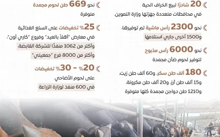 الحكومة تكثف استعداداتها لعيد الأضحى.. دعم شامل لتوفير اللحوم والأضاحي بأسعار مخفضة