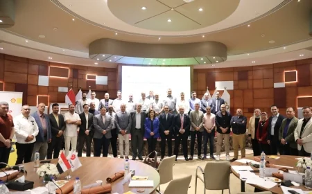 ورش عمل بـ«بتروجت» و«الإسكندرية للبترول» ضمن برنامج القيادة في السلامة بالتعاون مع شل مصر