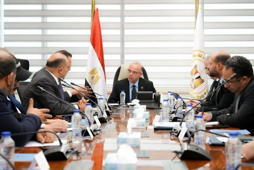 وزارة الاستثمار تبحث مع شركة MRYK Holding الصينية توسيع الاستثمارات في مصر