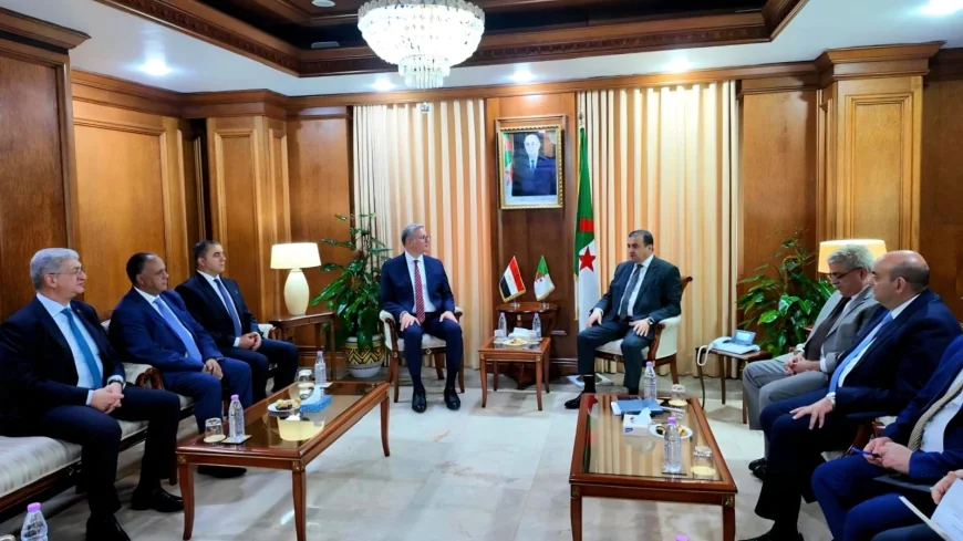 بدوي وعرقاب يبحثان تعزيز الشراكة الاستراتيجية بين مصر والجزائر في البترول والغاز