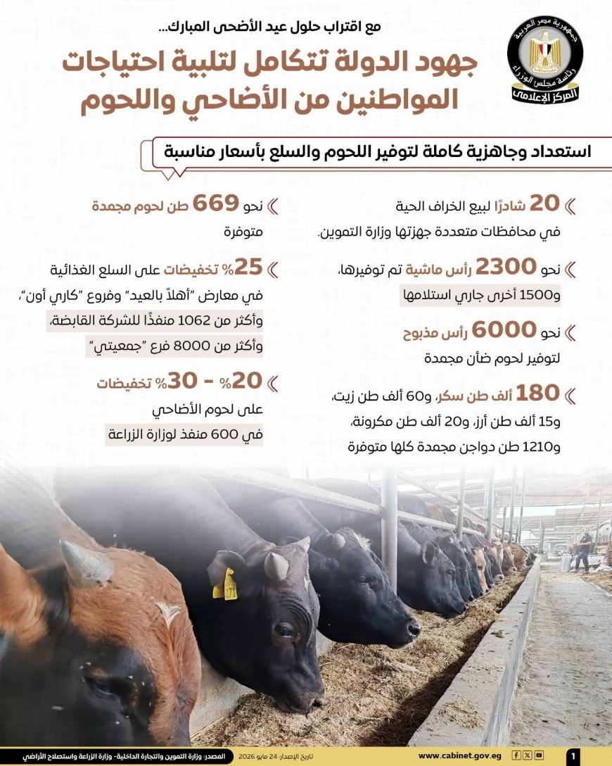 الحكومة تكثف استعداداتها لعيد الأضحى.. دعم شامل لتوفير اللحوم والأضاحي بأسعار مخفضة