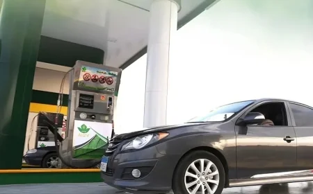 كارجاس تُعلن تشغيل محطة غاز طبيعي جديدة في عزبة مختار بمحافظة الشرقية