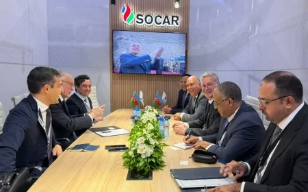 وزير البترول يبحث مع «سوكار» الأذربيجانية تعزيز الشراكة الاستراتيجية طويلة الأجل في قطاع البترول والغاز