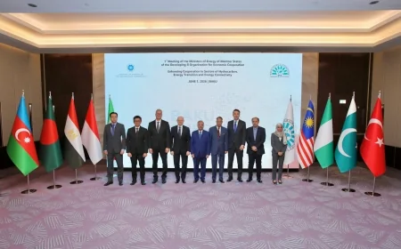 وزير البترول يشارك في اجتماع وزراء الطاقة بمجموعة الدول الثماني النامية ويؤكد أهمية التكامل الإقليمي
