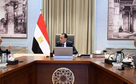 مدبولي يتابع خطة إعادة هيكلة 59 هيئة اقتصادية لتعظيم الكفاءة واستغلال الموارد