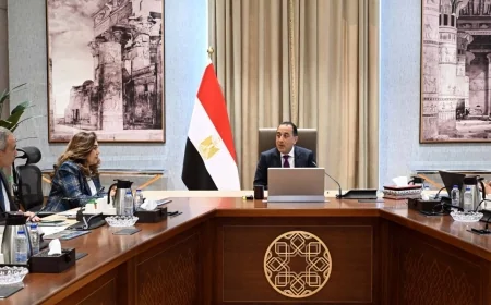 رئيس الوزراء يتابع تنفيذ المشروعات التنموية والخدمية بالإسكندرية