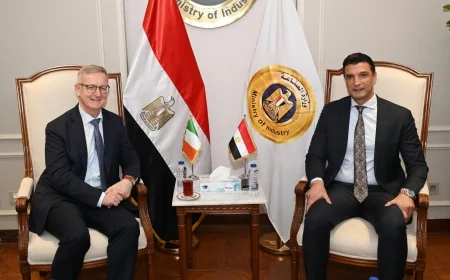 وزير الصناعة يبحث مع سفير أيرلندا تعزيز التعاون الصناعي بين مصر وأيرلندا في قطاعات الأدوية والإلكترونيات