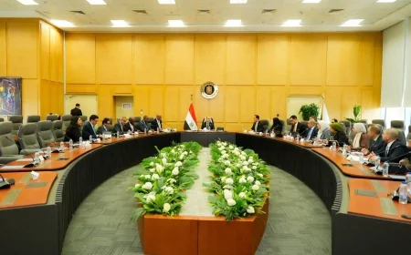 وزير الاستثمار يبحث مع مؤسسة التمويل الدولية تطوير بيئة الأعمال في مصر وتعزيز التحول الرقمي